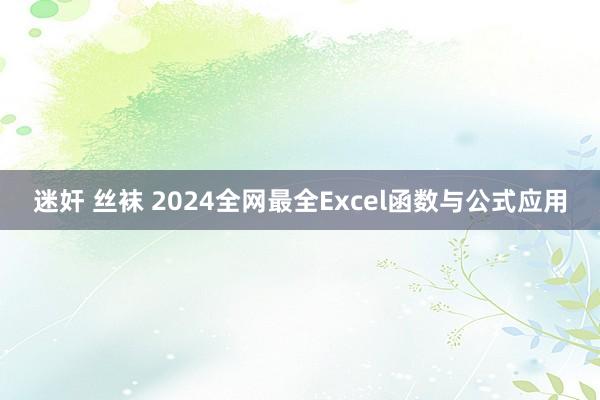 迷奸 丝袜 2024全网最全Excel函数与公式应用