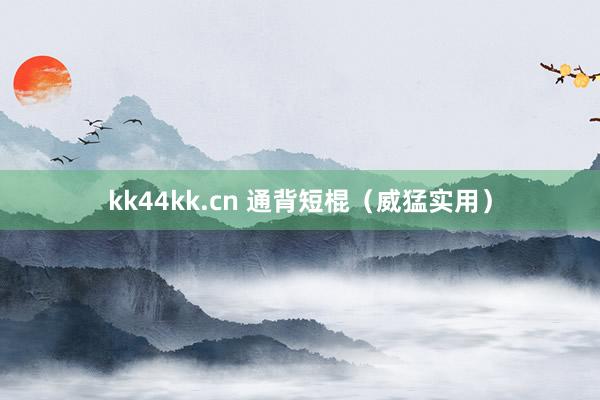 kk44kk.cn 通背短棍（威猛实用）