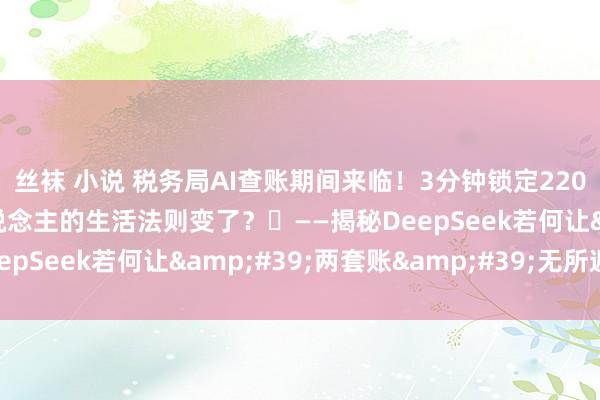 丝袜 小说 税务局AI查账期间来临！3分钟锁定2200万偷税字据，财务东说念主的生活法则变了？​——揭秘DeepSeek若何让&#39;两套账&#39;无所遁形