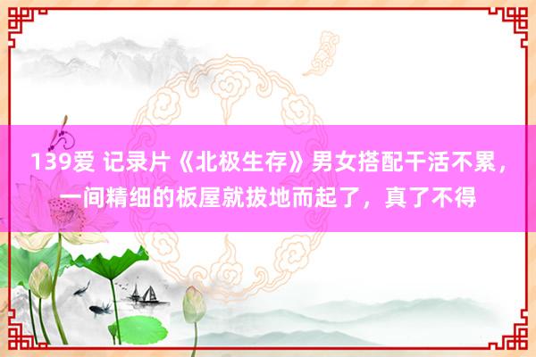 139爱 记录片《北极生存》男女搭配干活不累，一间精细的板屋就拔地而起了，真了不得