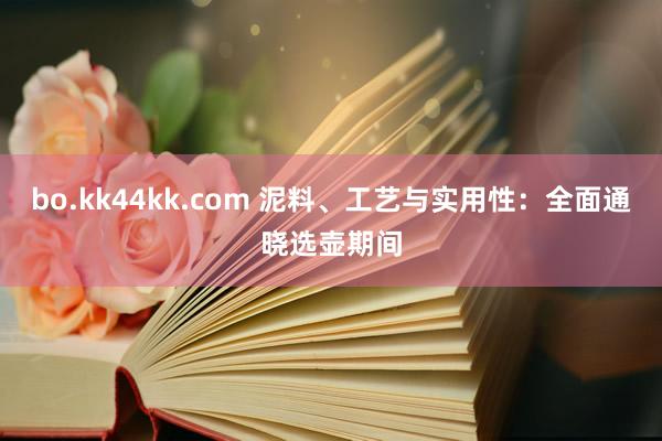 bo.kk44kk.com 泥料、工艺与实用性：全面通晓选壶期间