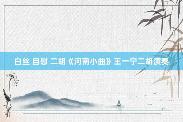 白丝 自慰 二胡《河南小曲》王一宁二胡演奏